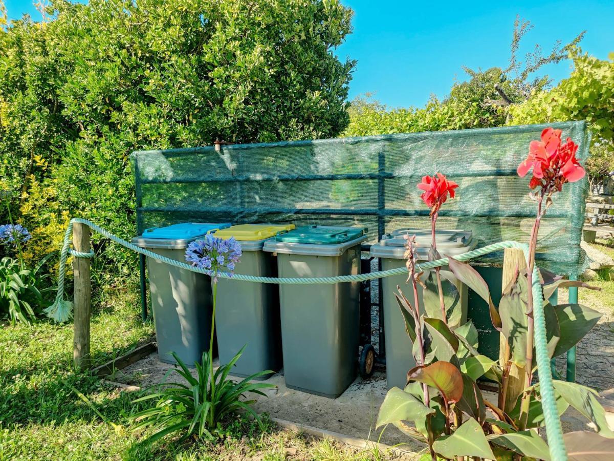 Casa Do Casal - Country House With Swimming Pool Viana do Castelo Exterior photo